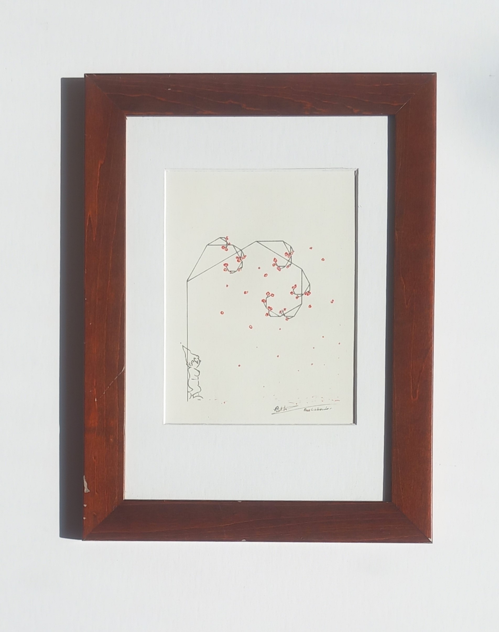 Rode bloesem tekening van Arthur Roth